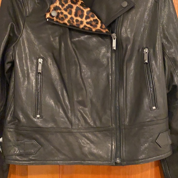 Bcbgmaxazria Leather Moto Jacket - Picture 9 of 16